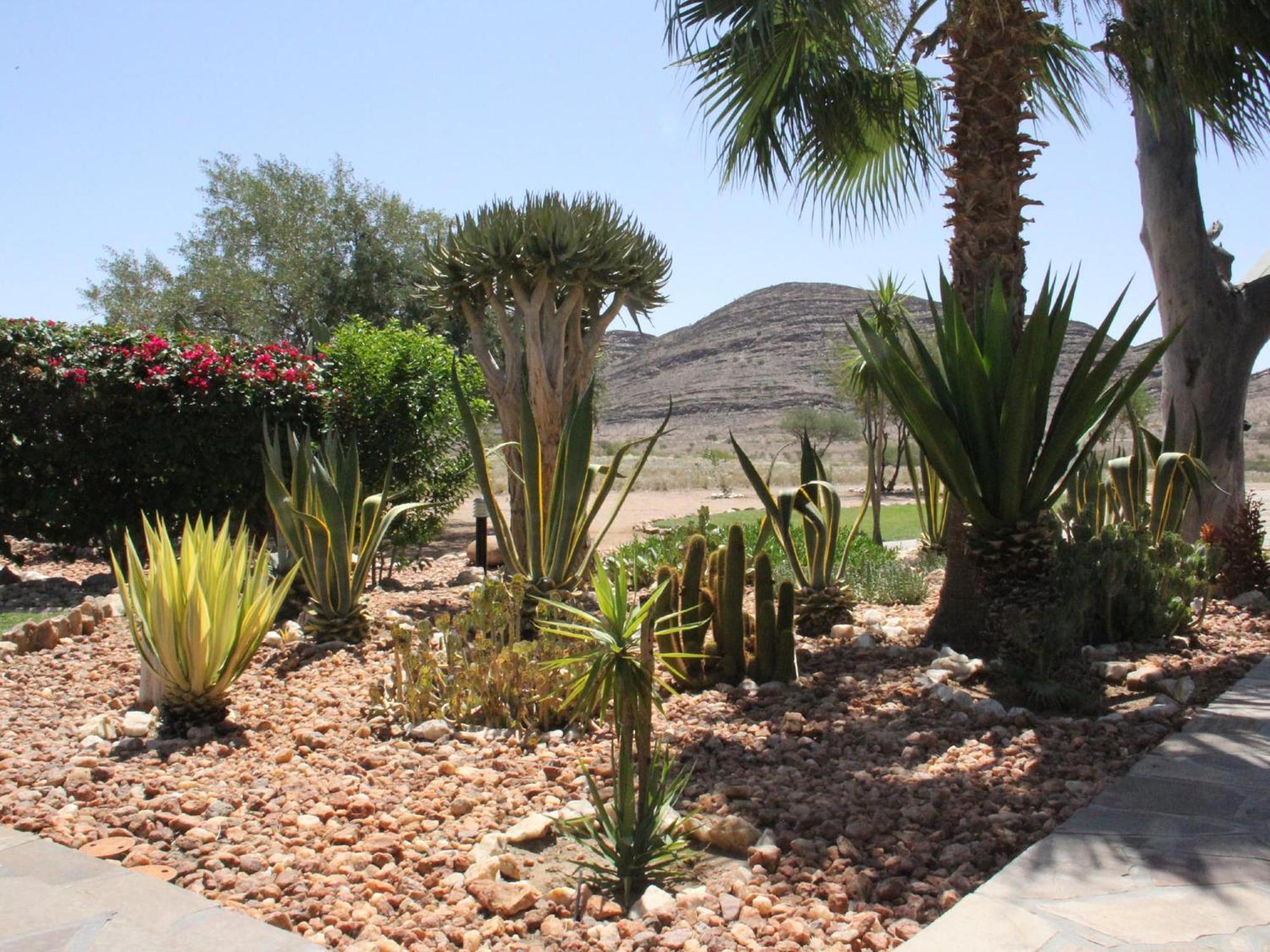 Chausib Rooisand Desert Ranchヴィラ 部屋 写真